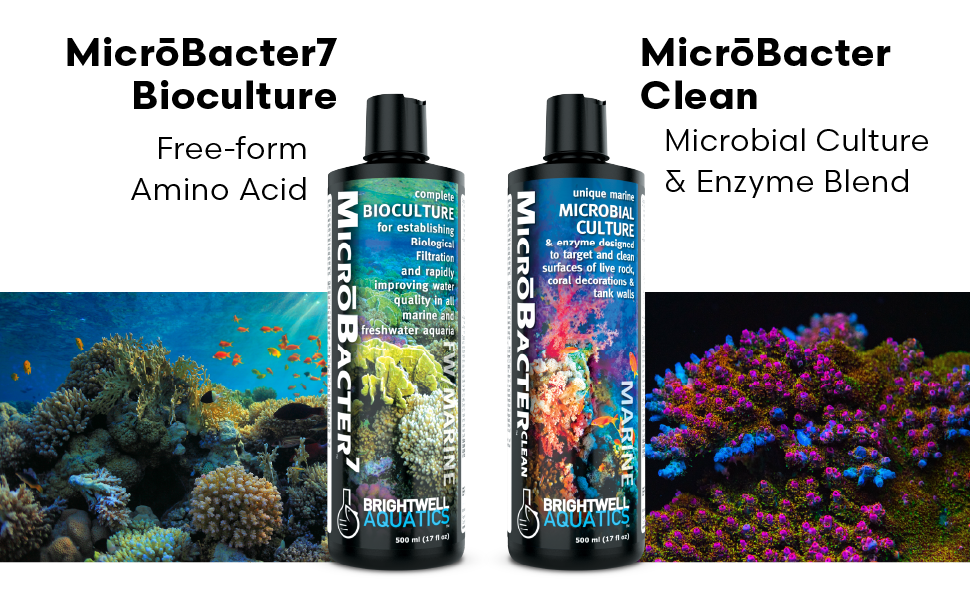 Brightwell Aquatics
