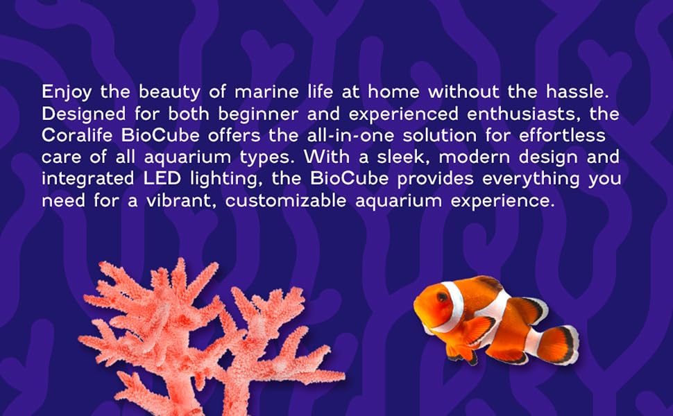 Enjoy the beauty of marine life at home without the hassle.