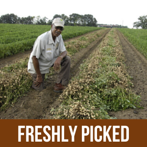 farm fresh