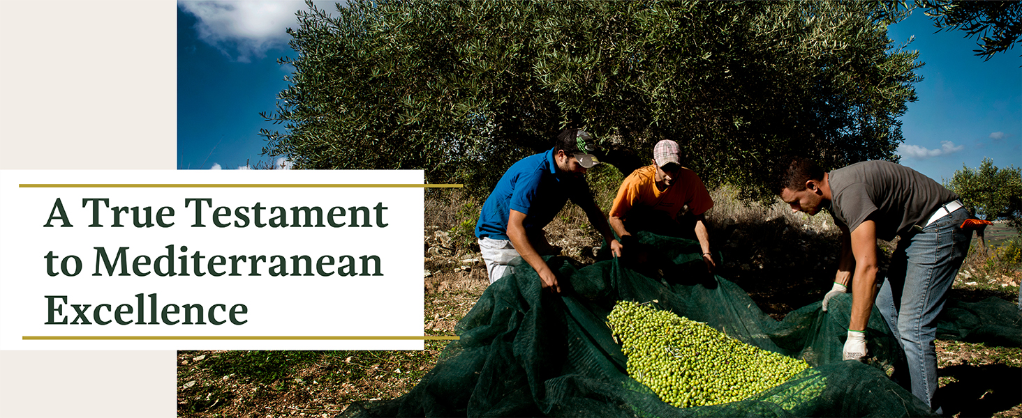 a true testament to mediterranean excellence
