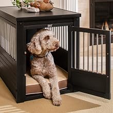 Large Dog in Large Crate