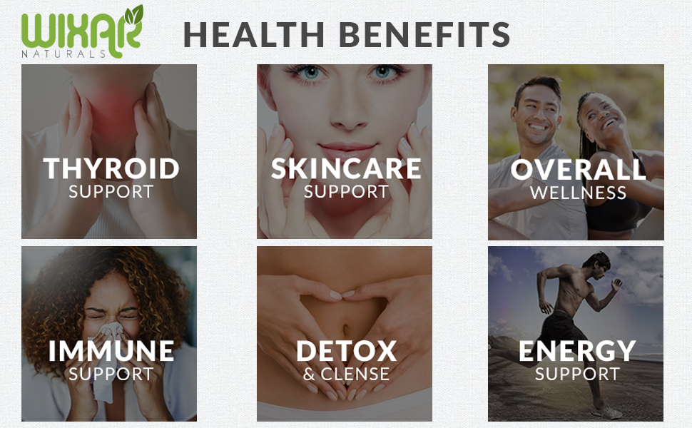 organic irish seamoss raw dr sebi supplement sea moss gummies bear bears cell gel bladderwrack