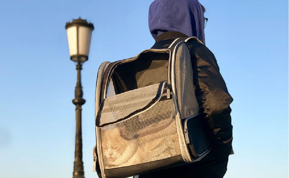 cat backpacks