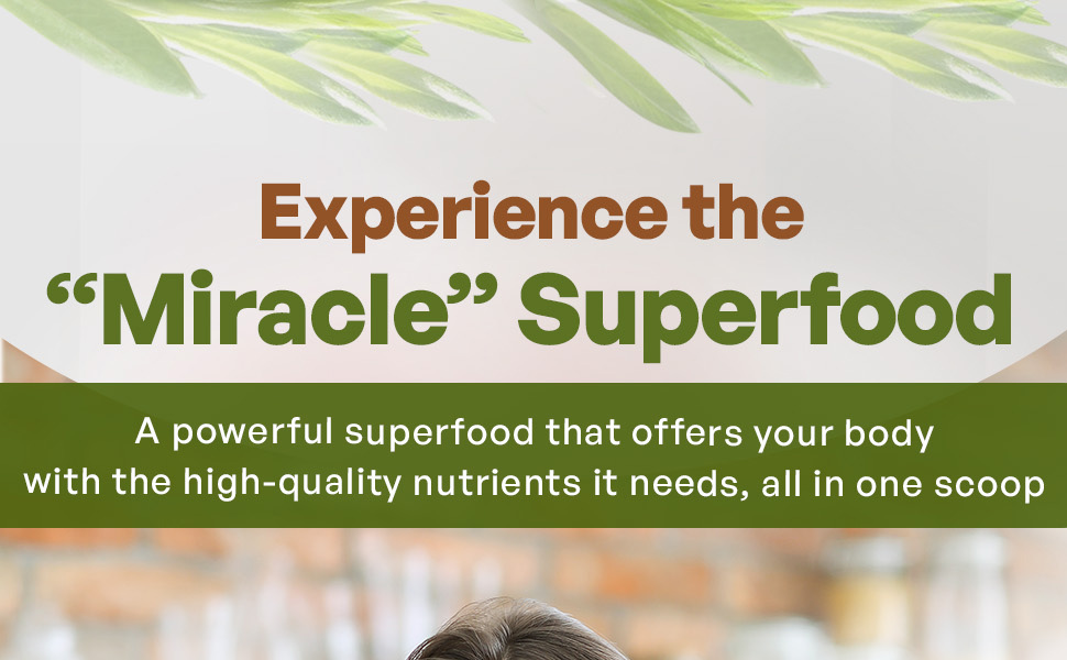 Spirulina Powder Spirulina Powder Organic Green Powder Smoothie Mix organic superfood powder