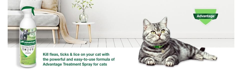 Kill fleas, ticks and lice on your cat with Advantage Treatment Spray for Cats.