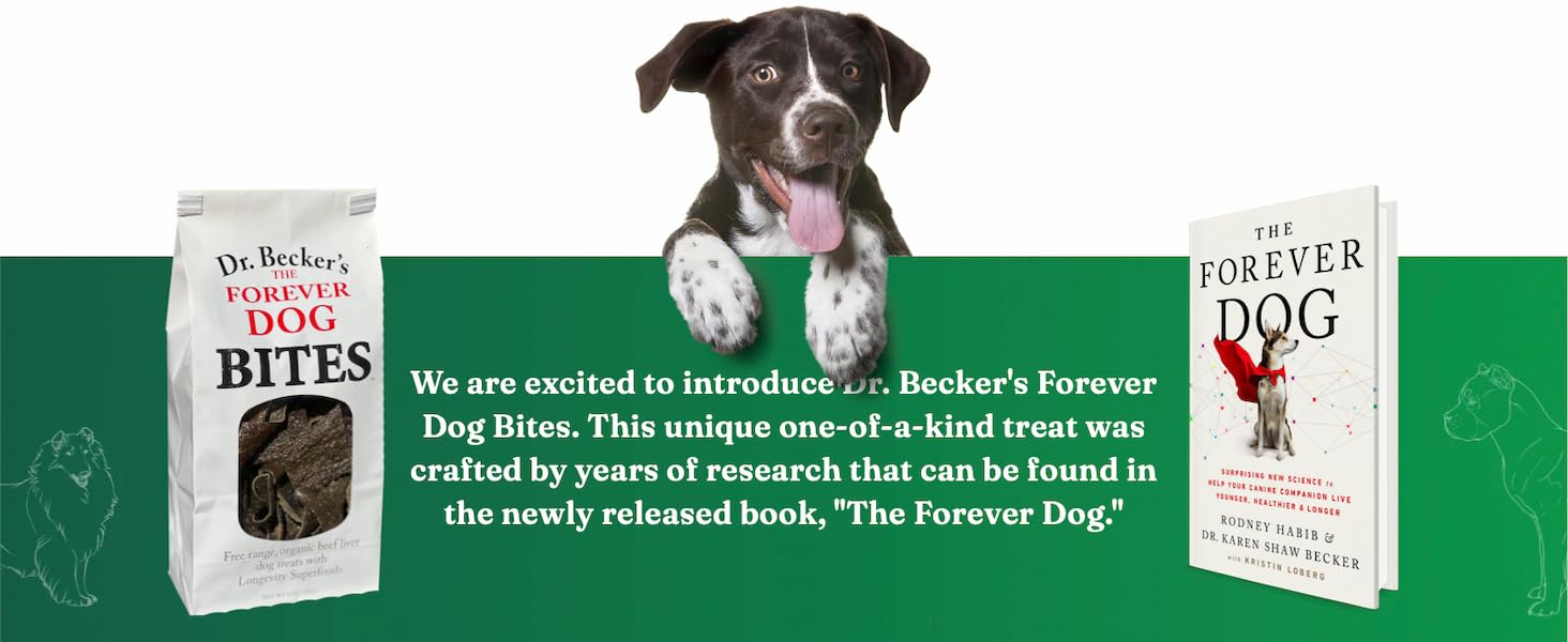 forever dog