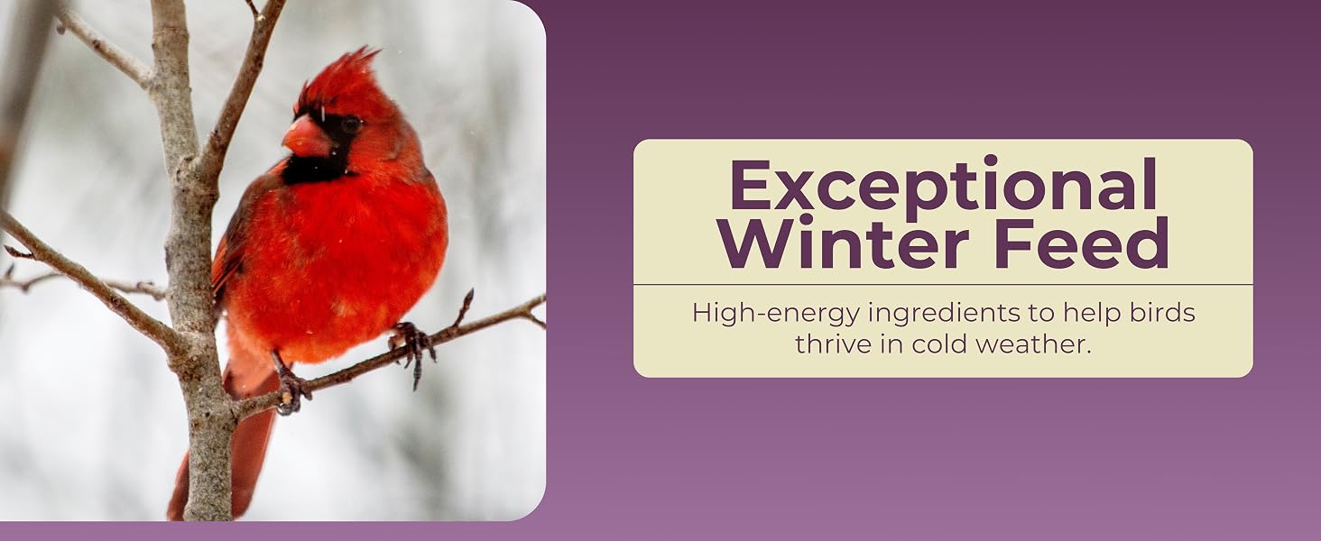 exceptional winter feed; high energy ingredients to help birds thrive in cold weather