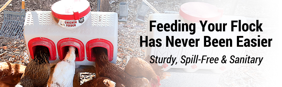 Chicken Feeder