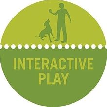 interctive play