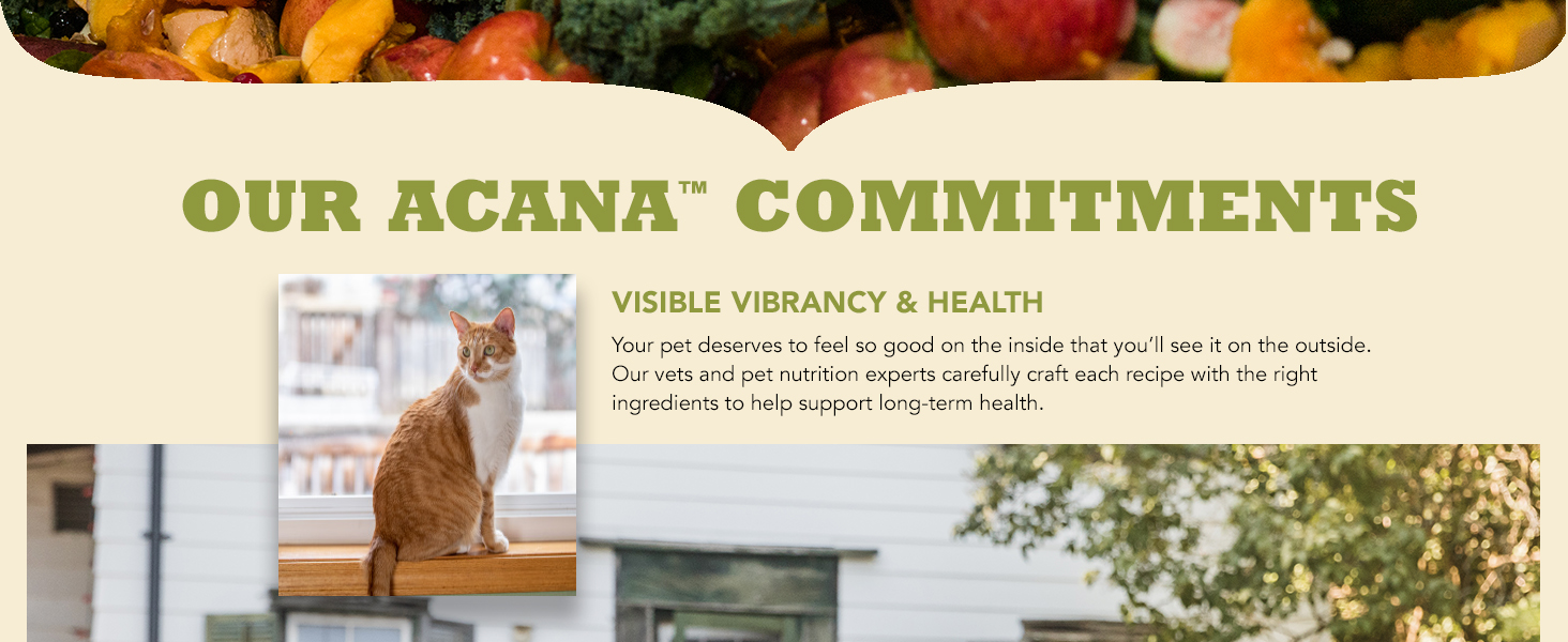 Visible Vibrancy and Health