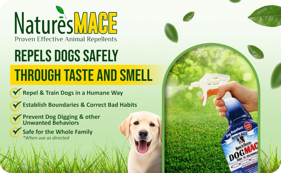 Dog MACE 1 gallon spray repels dogs, keeps them out of lawns, gardens, and yards, safe for pets