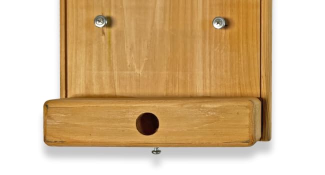 dutchcrafters cedar wood blue bird birdhouse with removable roof