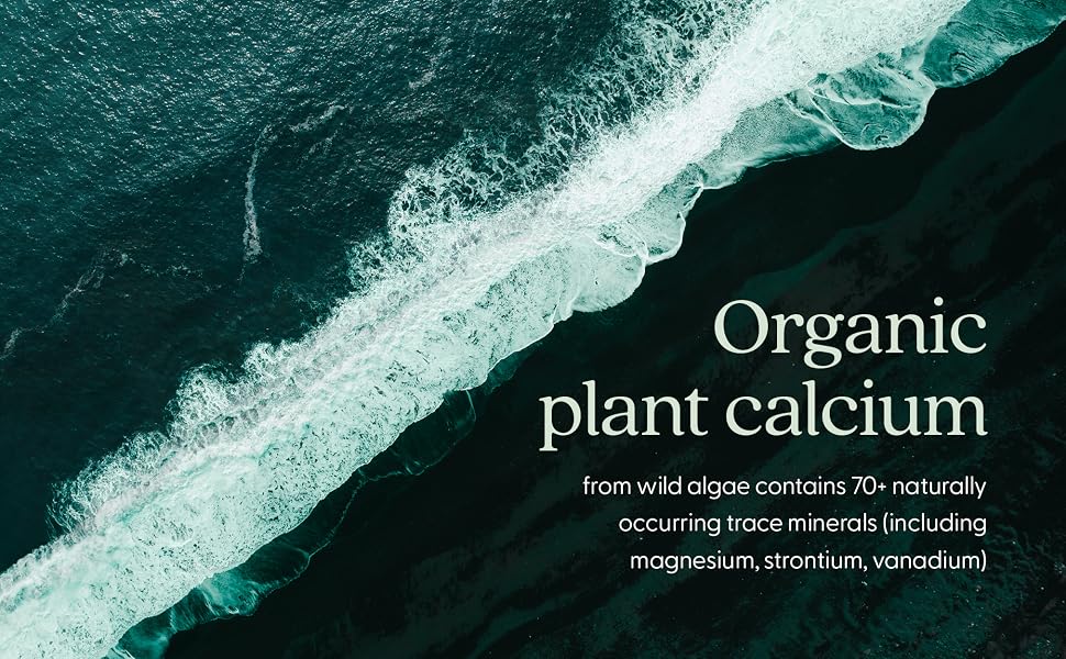 organic plant calcium from wild algae