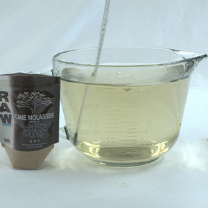 RAW Molasses