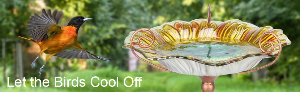 outdoor bird bath, bird baths for outdoors, bird bath bowl, bird bath with stake