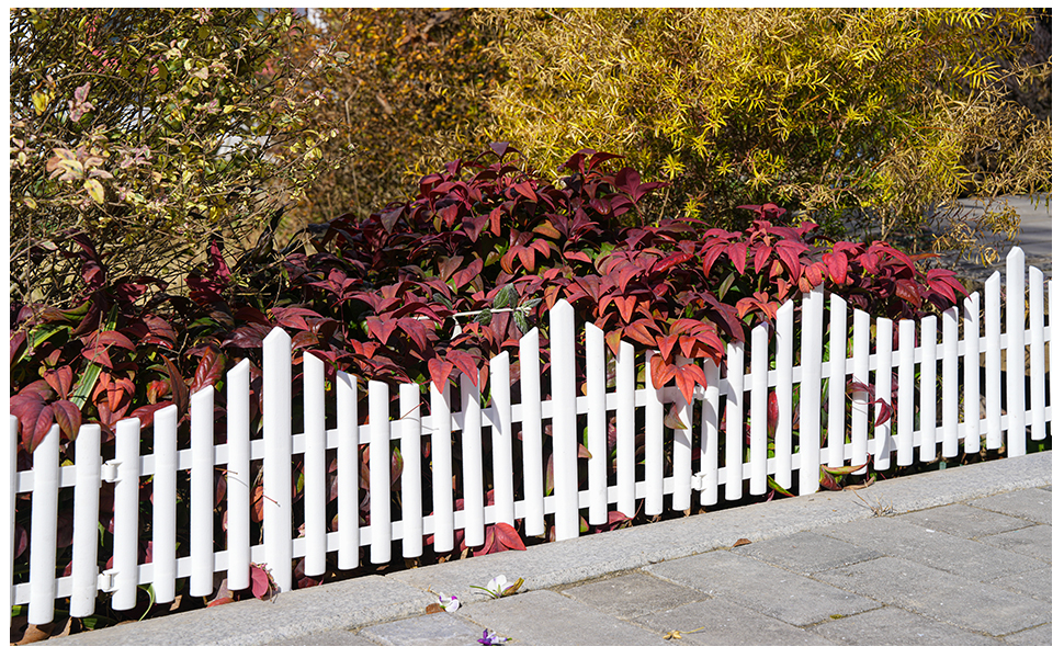 white picket fence