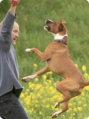 jump