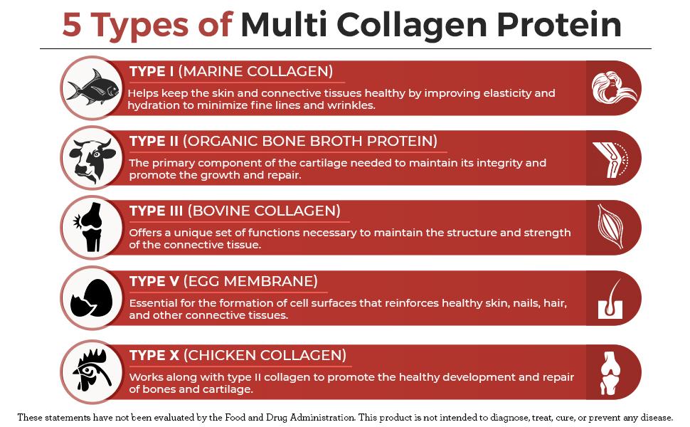 5 Types Of Collagen