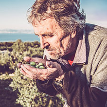Master Oliari's Role in Olive Oil Production
