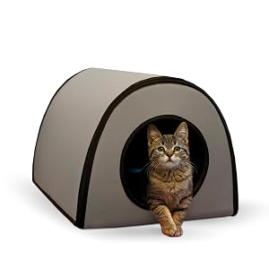 heated,cat,kitty,house,kitten,outdoor,heat,warm,winter,feral,feline,home