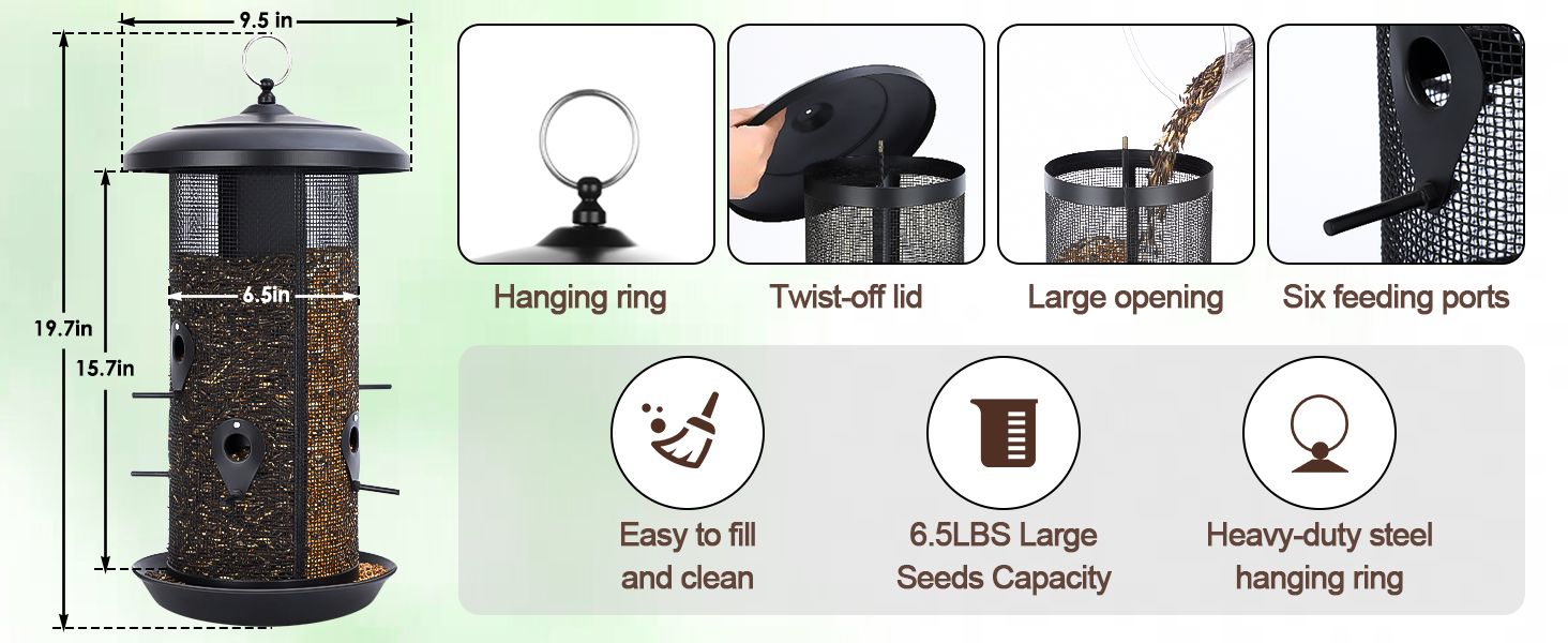 bird feeder