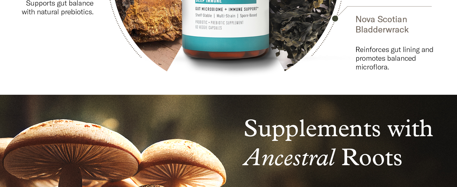mens probiotics for gut health over 50 complete daily probiotic gut health for men bacillus clausii