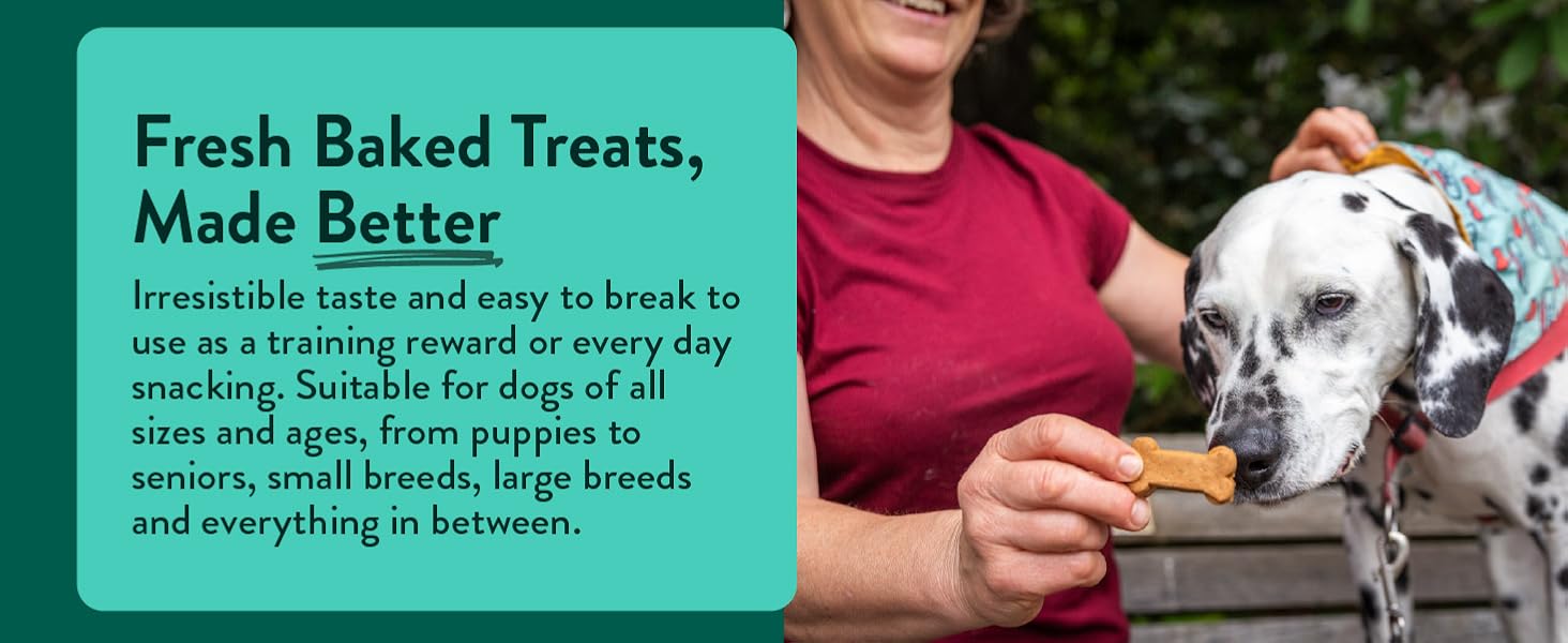 crumbly texture easy to put in pocket whole or break into pieces for dalmation training sessions