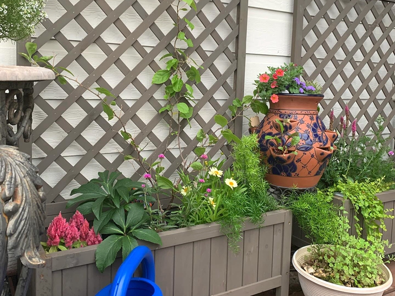 garden planter