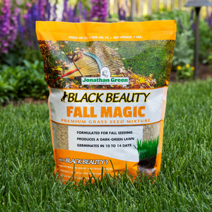jonathan green black beauty grass seed lawn care