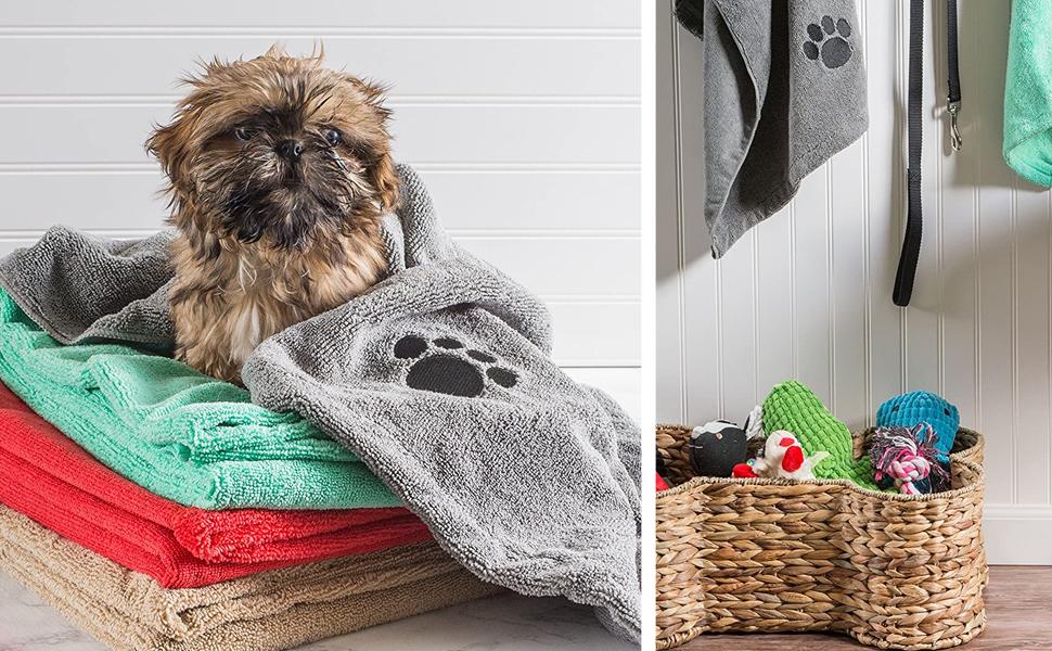 dog blanket