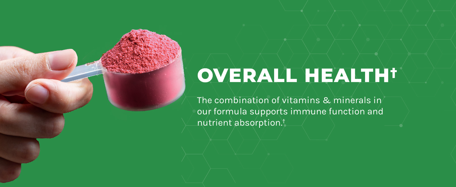 Beet root powder Beet root Beet powder organic