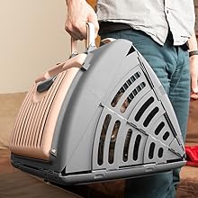 pet travel