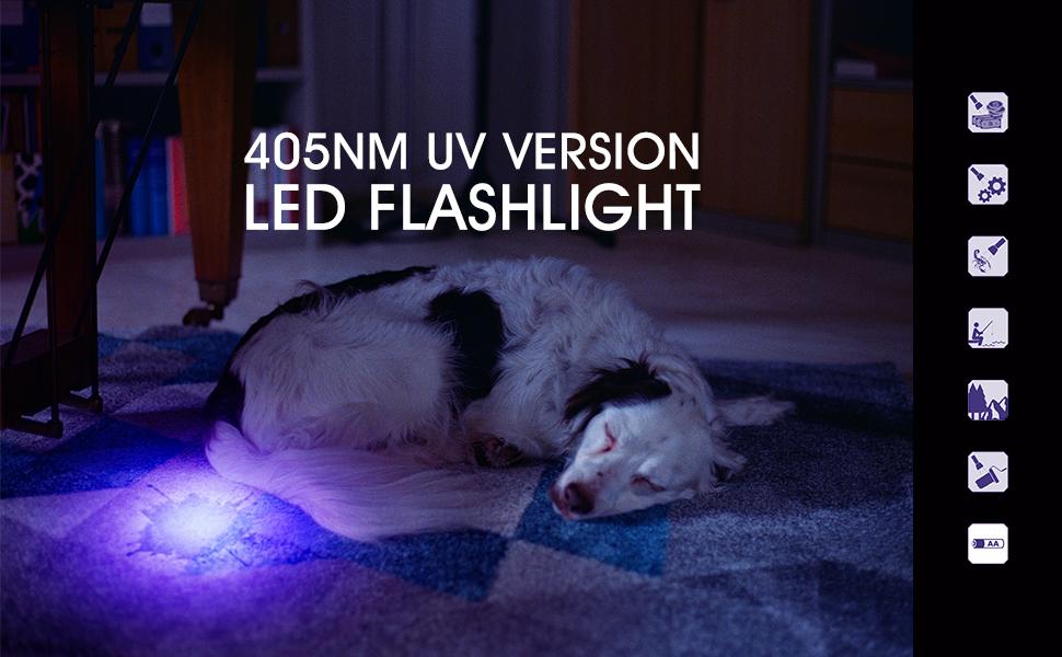 405nm UV Light