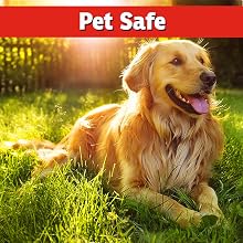 mole safe pets repellent vole