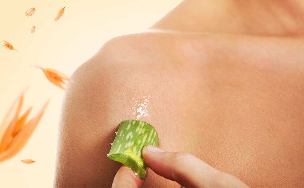Aloe, Avena Instituto Espanol