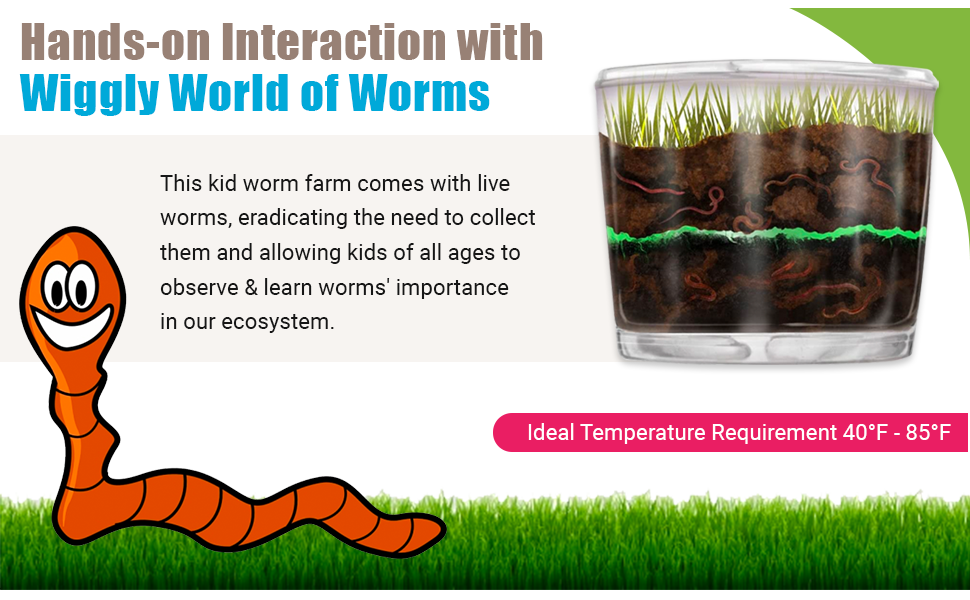 Hands-on Interaction with Wiggly World of Worms