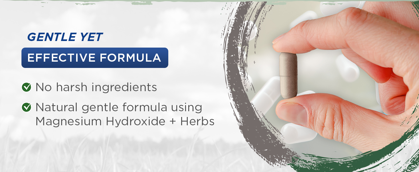 preparation probiotics products prune psyllium relief repair restore root sienna skinny slippery