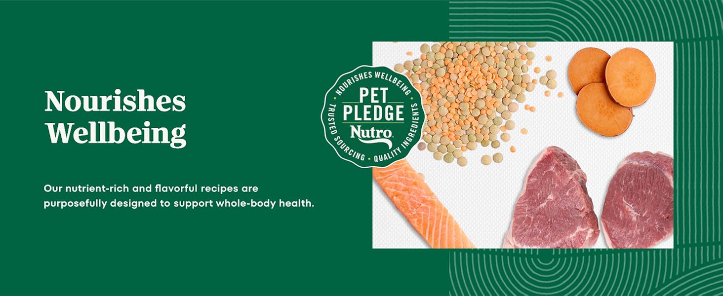 Nutro Nourishes Wellbeing