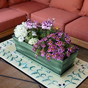 Achla Designs Medium Galvanized steel flowerbox with tray green VFB-05-T