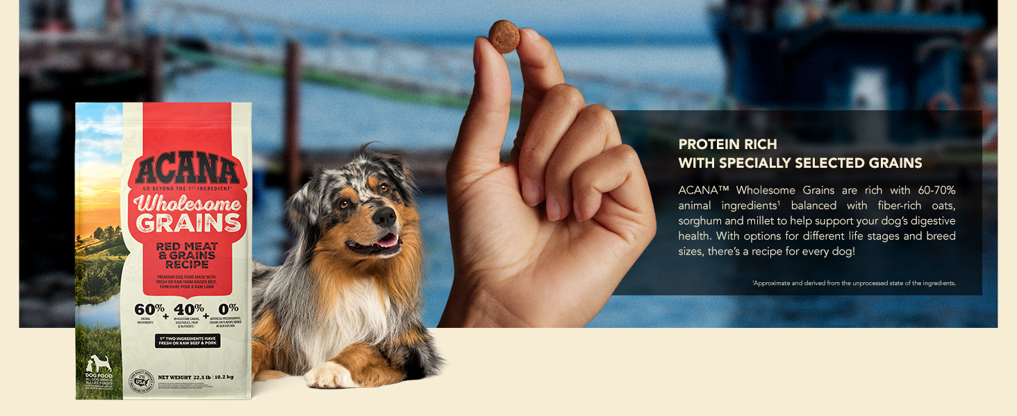 Protein Rich with Specially Selected Grains