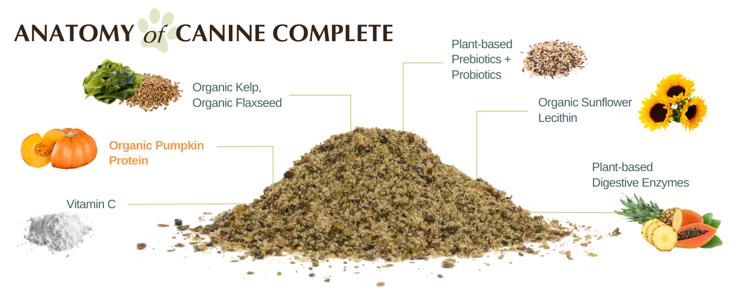 nutrition strength multivitamin for dogs dog multivitamins chewable dog multivitamin powder dog
