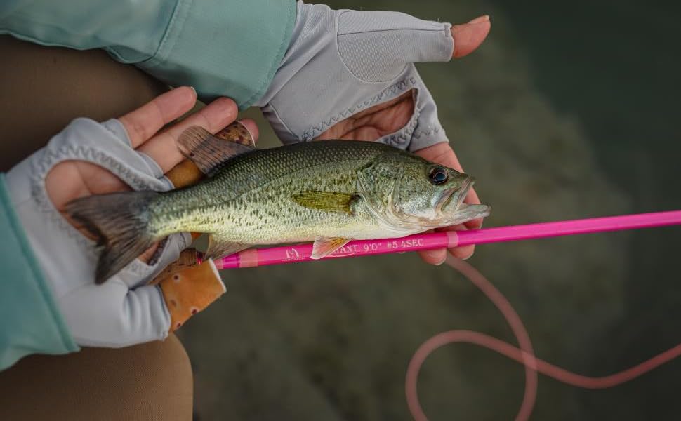maxcatch fly fishing