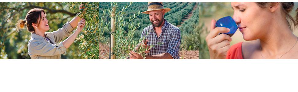 Pompeian Olive Oils