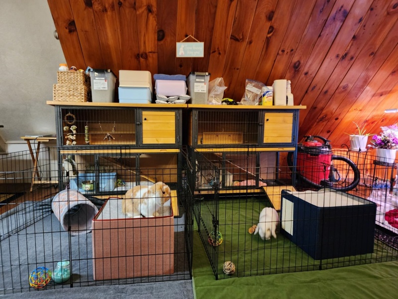 Pet Playpen