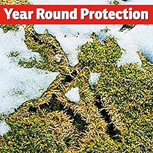 Winter Mole vole damage repellent