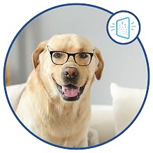 dog cataract dog eye relief ocuglow for small dogs eye care for dogs dog vision senior supplement