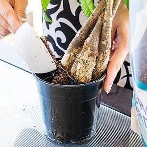 Garden organic coconut coir coco peat coco husk soil amendment seed starting dirt