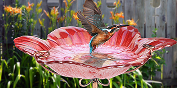 birdbath
