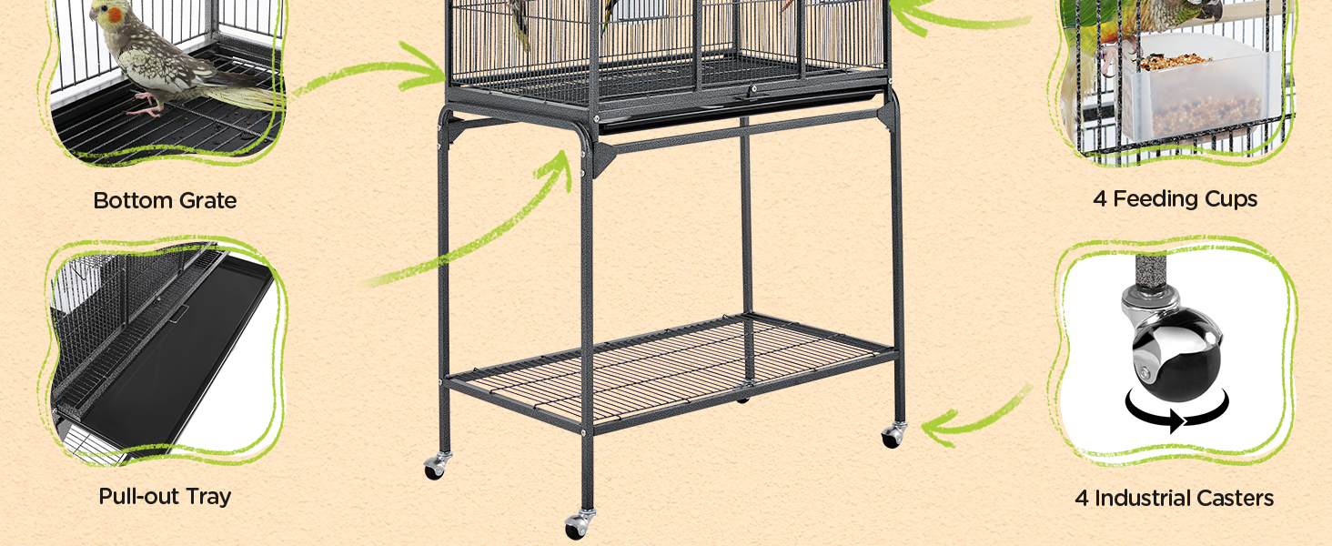 Bird Cage