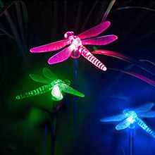 Dragonfly solar light